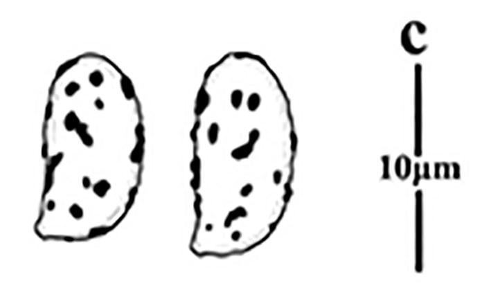 Figure 72